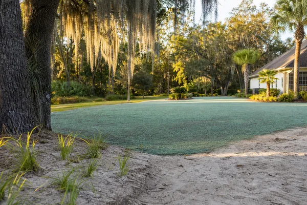 Hydroseeded residential lawn in Jacksonville Florida