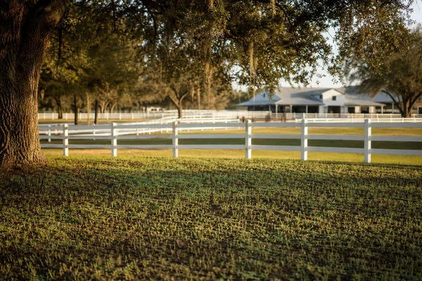 Hydroseeded pasture acreage near Ocala Florida