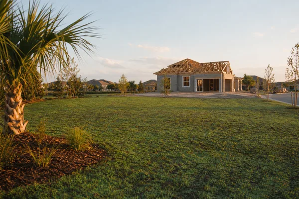 Hydroseeding application on a new-construction lot in Orlando Florida