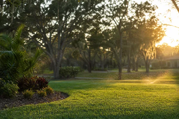 Hydroseeded master-planned community lot in Sarasota Florida