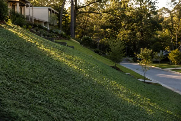 Hydroseeding for slope stabilization in Tallahassee Florida