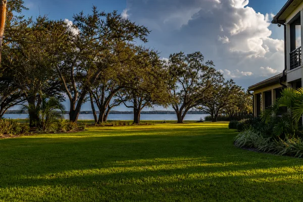 Hydroseeded lawn in Tampa Florida