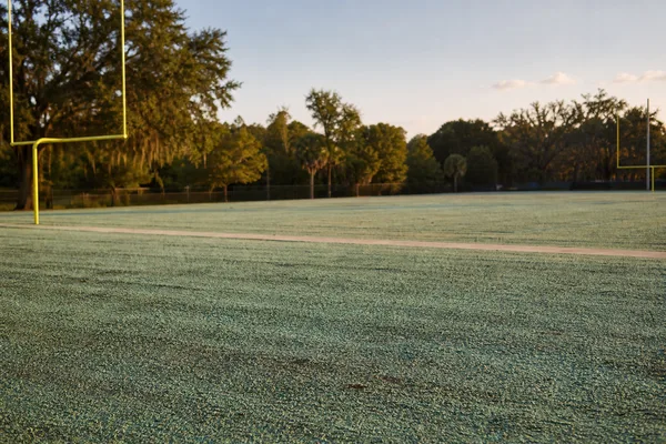Hydroseeded athletic field after germination