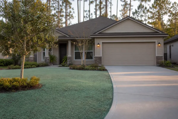 Hydroseeded residential lawn establishing in North Florida